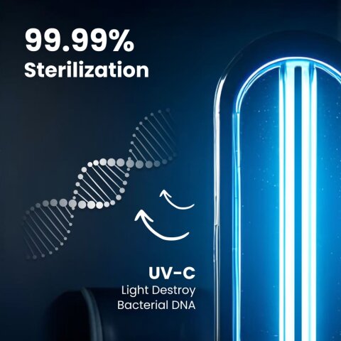 ClairLite image